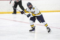 pm 03.55 RINK-4 [U12] Glass City Gladiators vs Arapahoe Maize Warriors Brown
