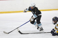 am 08.35 RINK-4 [U12] Glass City Gladiators vs Arapahoe Maize Warriors Brown
