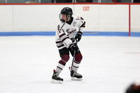 pm 00.1220 ELCC [U15B-T2] Ayr Flames vs Dresden Jr Kings