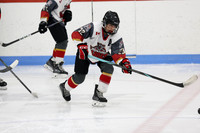 pm 07.40 ELCC [U15B-T1] Lambton Shores Predators vs South Huron Sabres