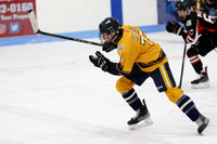 am 11.20 ELCC [U15A Semi] Tecumseh-Shoreline Eagles vs Southwest Admirals