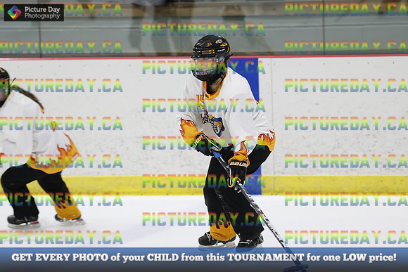 20260102-3206