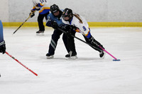 pm 06.00 IPSC-3 [U14B] St Marys vs Whitby