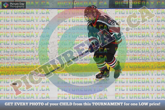 20250131-7334