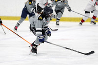 am 11.00 SCH [U11] Brantford Ice Cats U11-2 vs Lakeshore Lightning Bugs