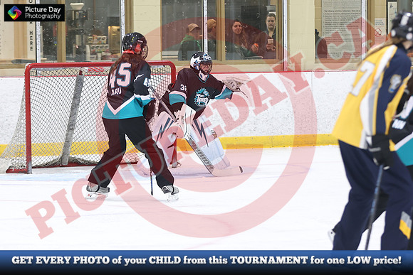 20241214-0428142024 St Marys Sinpers Ringette Tournament