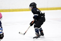 pm 02.00 SCH-F [U9] Saugeen Shores Storm U9-2 1 vs Burlington Barracudas U9 Black
