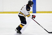 pm 02.30 OPT [U13] Wilmot Wolverines U13-1 vs Barries Sharks U13 Green