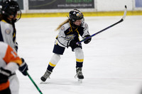 pm 03.30 OPT [U13] Huron Heat vs South County Predators U13 Blue