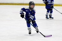 pm 05.30 OPT [U11] Brantford Ice Cats U11-2 vs Port Colborne Wave U11 White