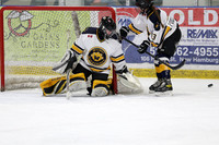 pm 08.00 SCH [U15] Lakeshore Lightning U15 Gray vs Wilmot Wolverines U15-1