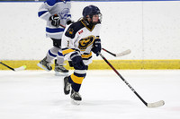 am 11.00 SCH [U15] Lakeshore Lightning U15 Gray vs Wilmot Wolverines U15-1