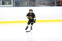 pm 07.15 SHUREN [BATTLE]  Sarnia Jr Sting T2 vs Belle River Jr Canadiens Select