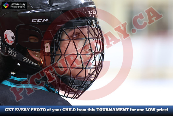 20241214-2505142024 St Marys Sinpers Ringette Tournament