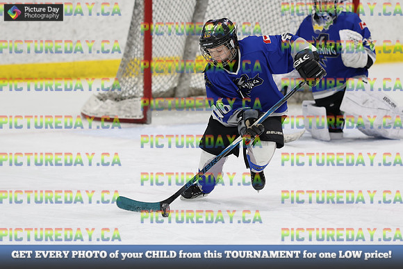 2026-01-31-TW004576