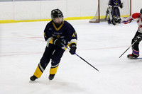 am 08.15 TGRC-B [U14A] Metcalfe Hornets vs Arnprior Devils - Lotan