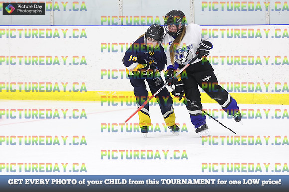 2026-02-06-AS011229