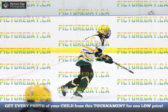 2026-02-06-AS011667