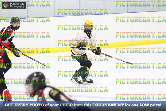 2026-02-06-AS011673