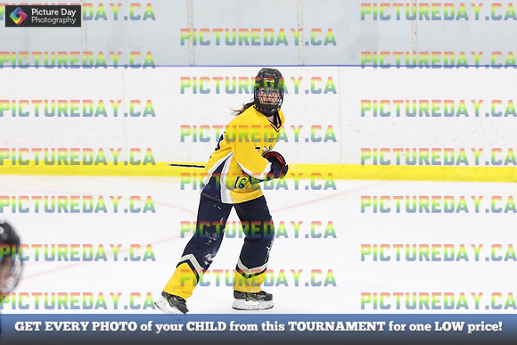 2026-02-06-AS012464