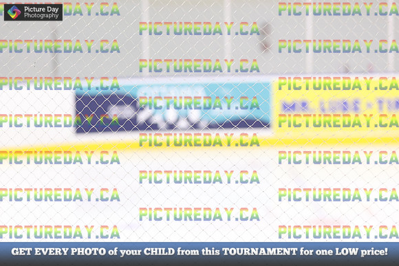 2026-02-06-AS012651
