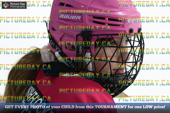 2026-02-06-TW007297