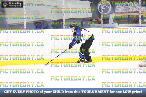 2026-02-06-AS014131