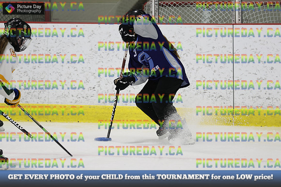 2026-02-06-TW008119