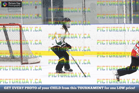 2026-02-06-AS015365