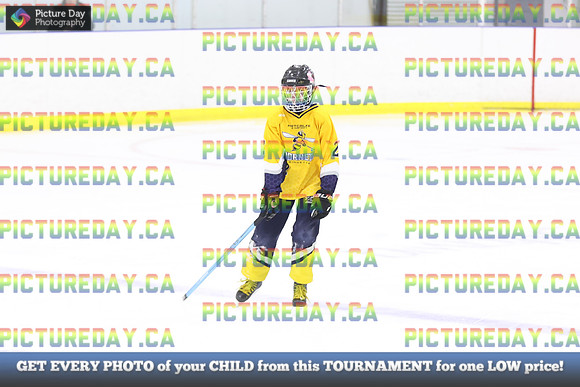 2026-02-06-AS015568