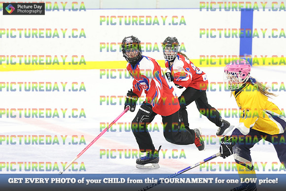 2026-02-06-AS015565