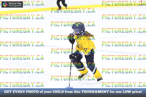 2026-02-06-AS015564
