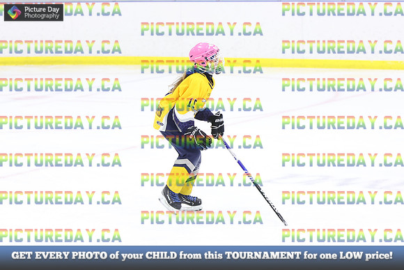 2026-02-06-AS015579