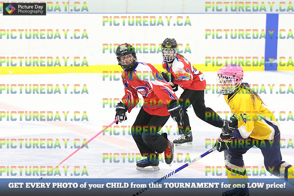 2026-02-06-AS015566