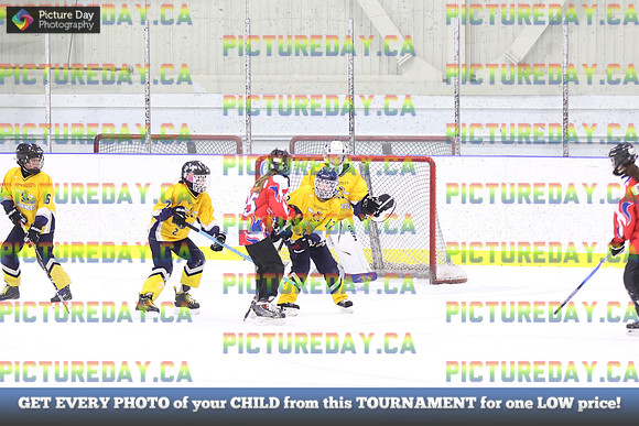 2026-02-06-AS015586