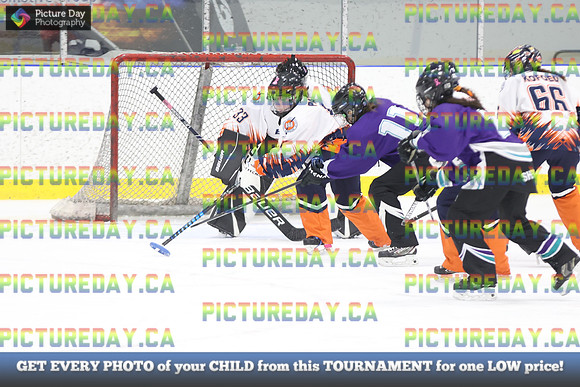2026-02-06-AS015741