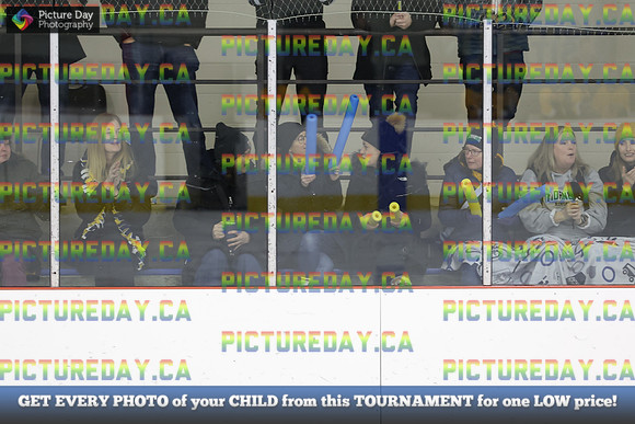 2026-02-07-TW009910