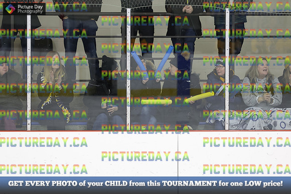 2026-02-07-TW009909