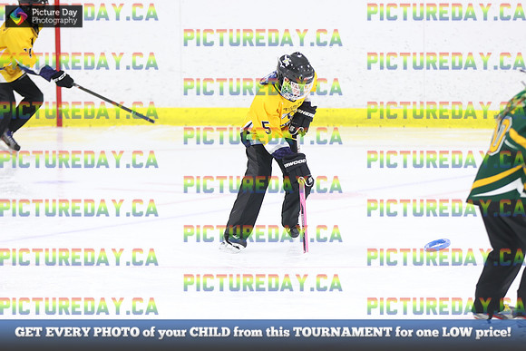 2026-02-07-AS017013