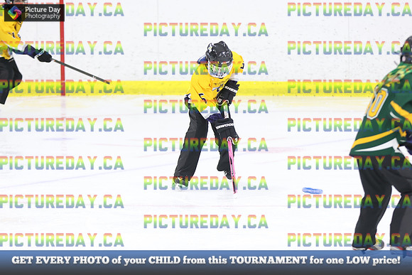 2026-02-07-AS017012