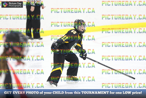 2026-02-07-AS017369