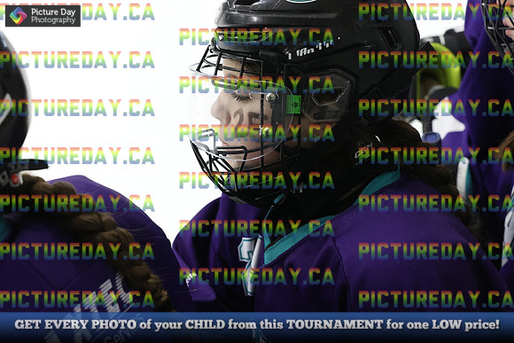 2026-02-07-AS017567