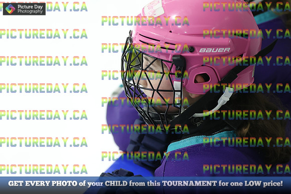 2026-02-07-AS018331