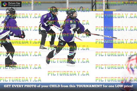 2026-02-07-AS018339