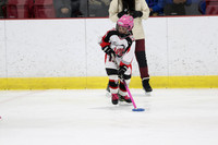 pm 01.15 CRC-B [FUN2] Nepean Ravens - Richards vs West Ottawa Wild - Filiatrault