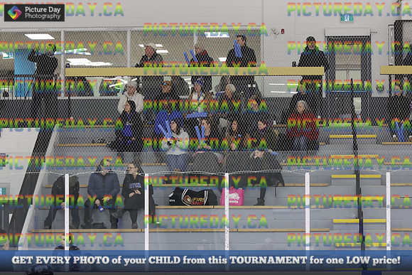 2026-02-07-AS019541