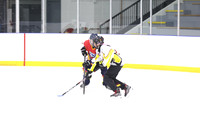 2026-02-07-AS020595