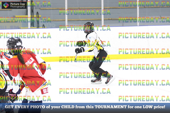2026-02-07-AS020597