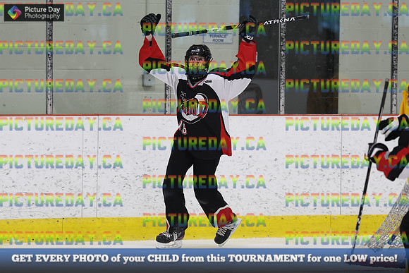 2026-02-08-TW015491