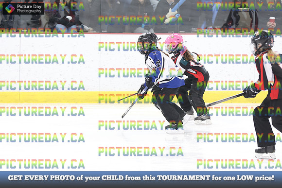 2026-02-08-TW016099